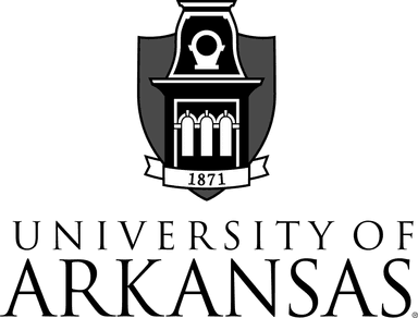 University of Arkansas OEI